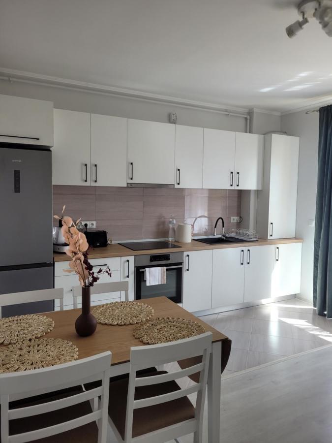 Amparo Apartment Satu Mare Ngoại thất bức ảnh