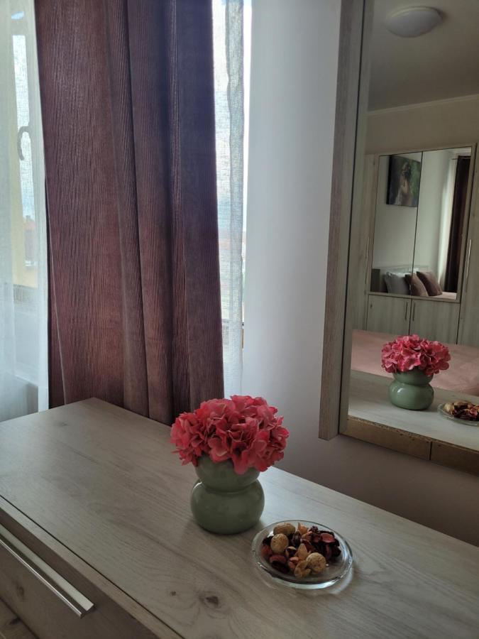 Amparo Apartment Satu Mare Ngoại thất bức ảnh