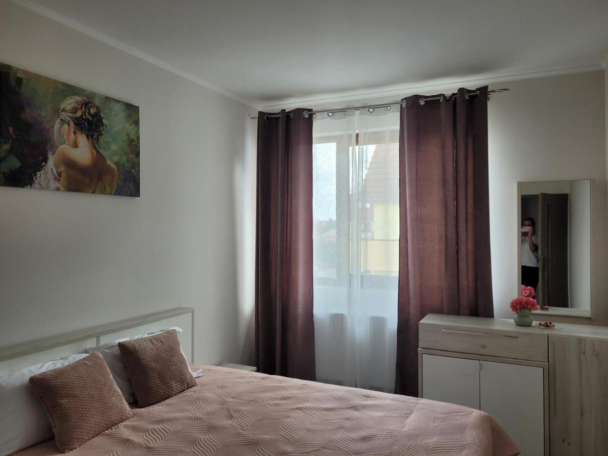 Amparo Apartment Satu Mare Ngoại thất bức ảnh