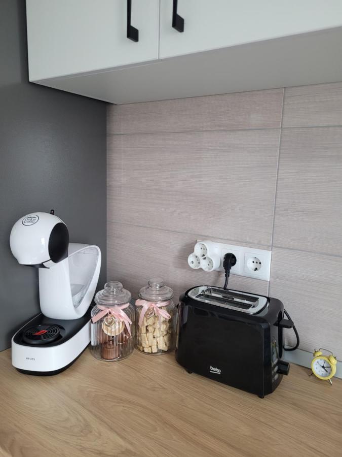 Amparo Apartment Satu Mare Ngoại thất bức ảnh
