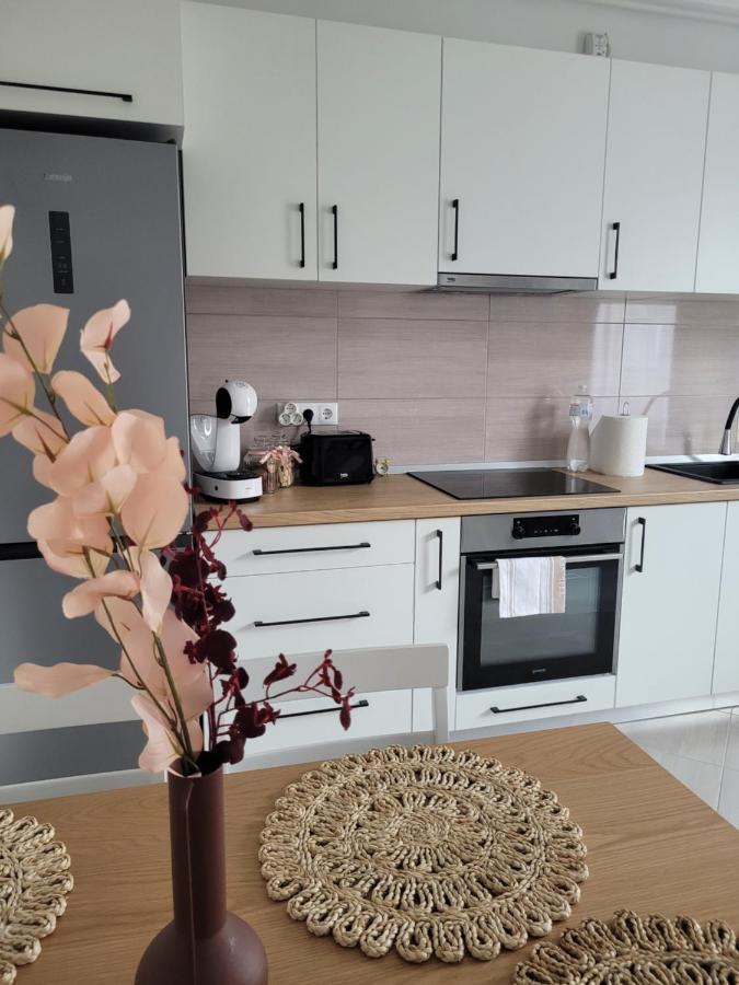 Amparo Apartment Satu Mare Ngoại thất bức ảnh