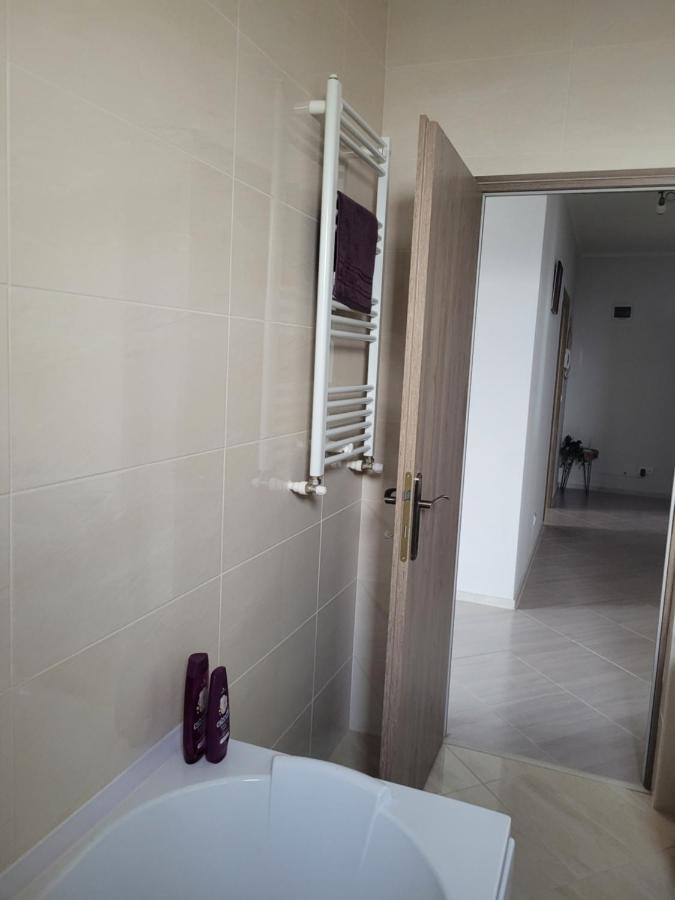 Amparo Apartment Satu Mare Ngoại thất bức ảnh
