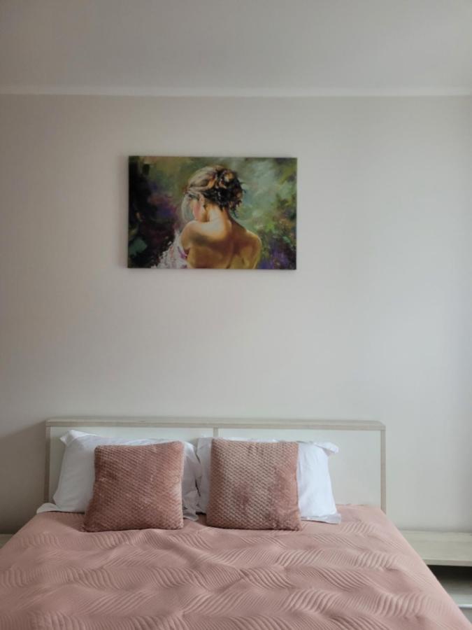 Amparo Apartment Satu Mare Ngoại thất bức ảnh