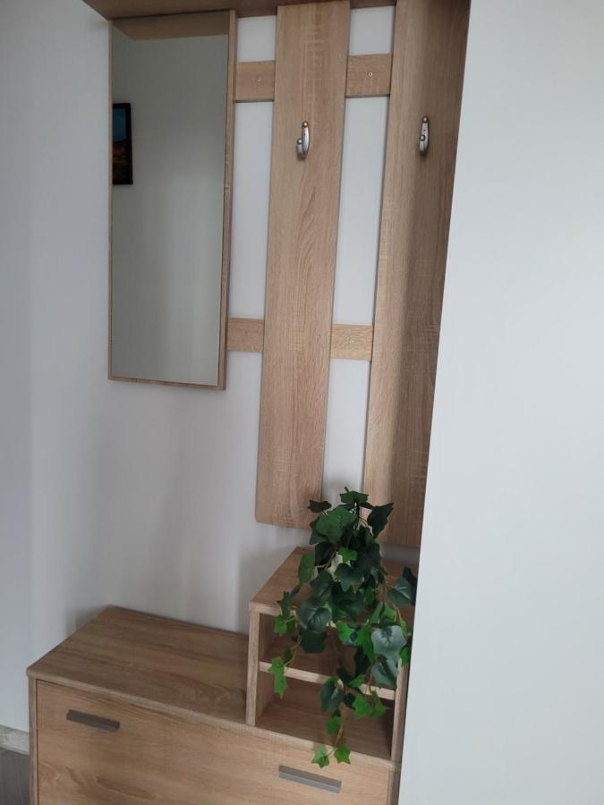 Amparo Apartment Satu Mare Ngoại thất bức ảnh